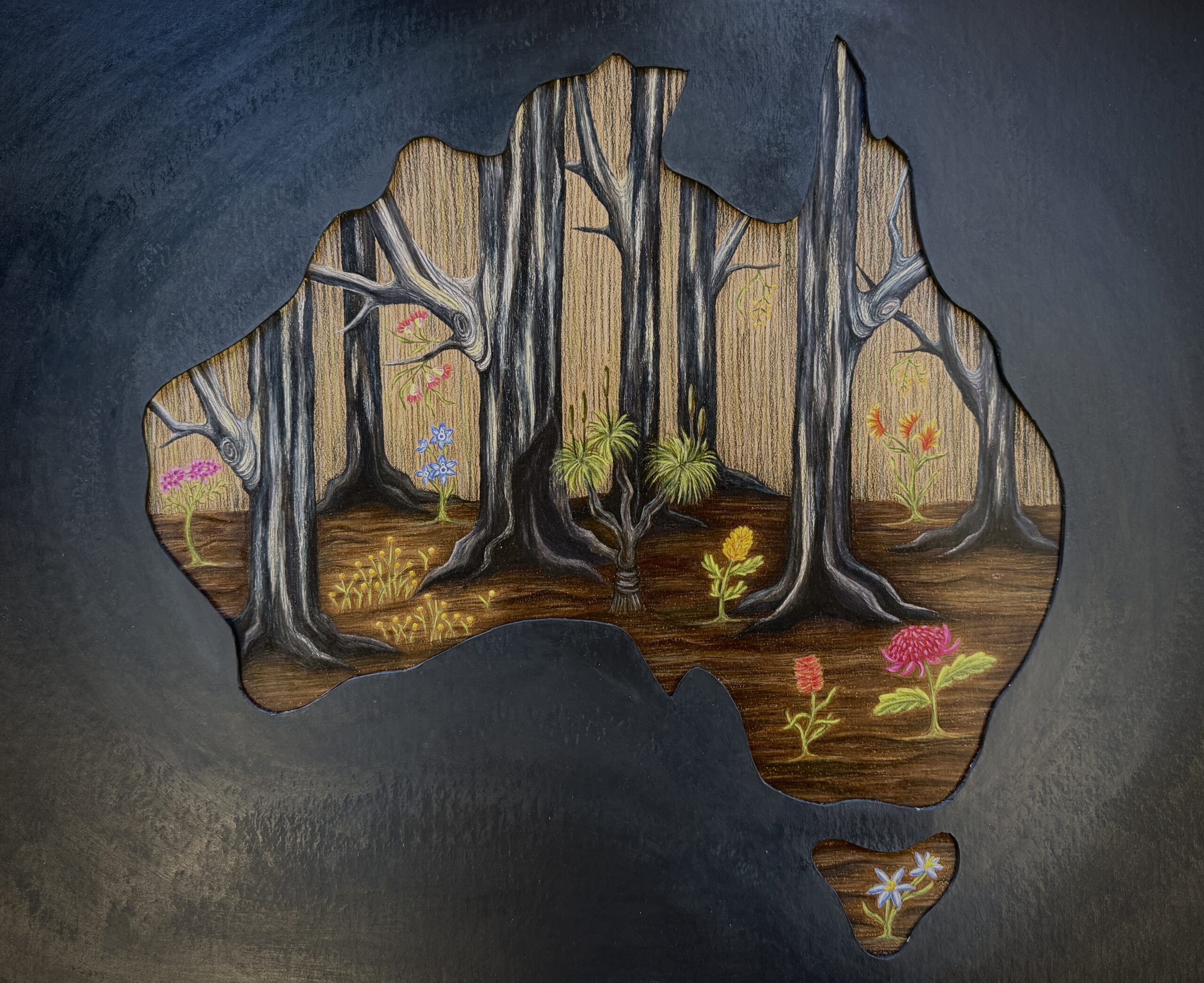 Nepean Creative and Performing Arts High School