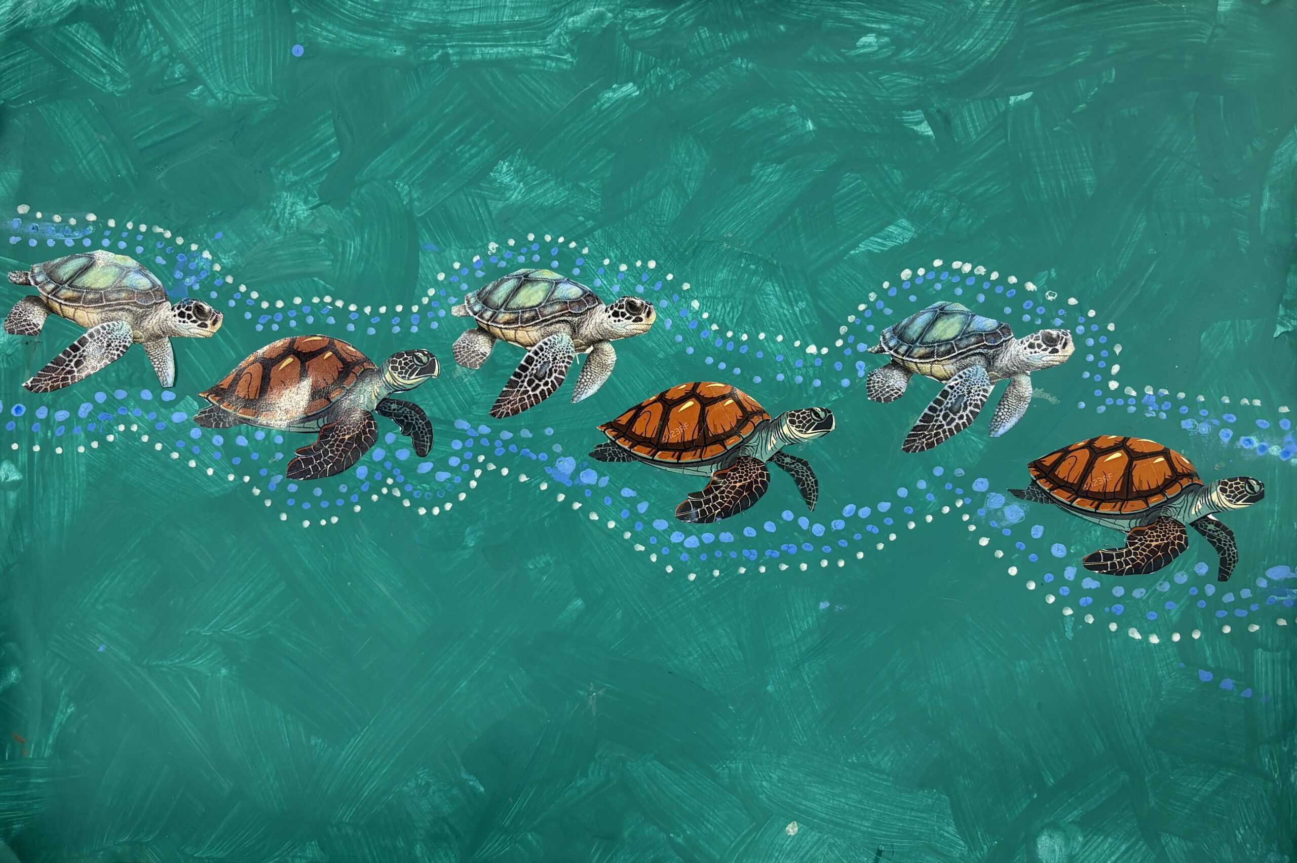 Surveyors Creek Public School